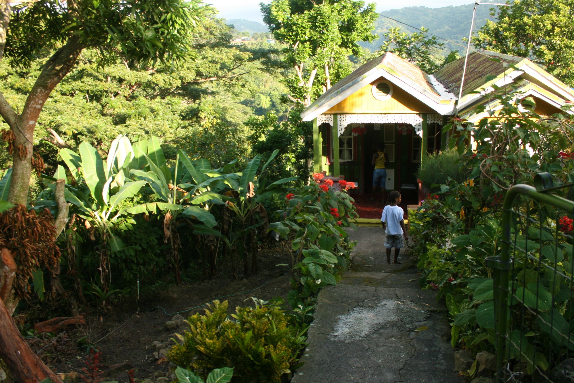Childhood home in Wakefield District, Clarendon, Jamaica